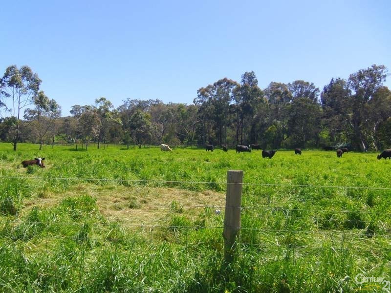 20 Treasure Lane, Hay Flat SA 5204