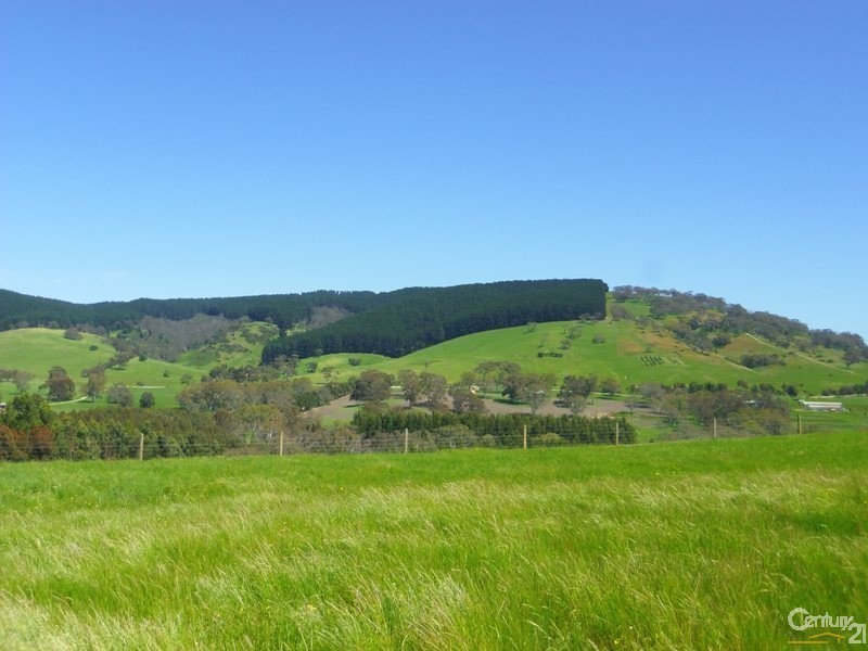 20 Treasure Lane, Hay Flat SA 5204