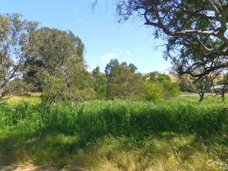 19 Malakoff Street, Yankalilla SA 5203