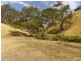 Lot 8 Myponga Beach Road, Myponga Beach SA 5202