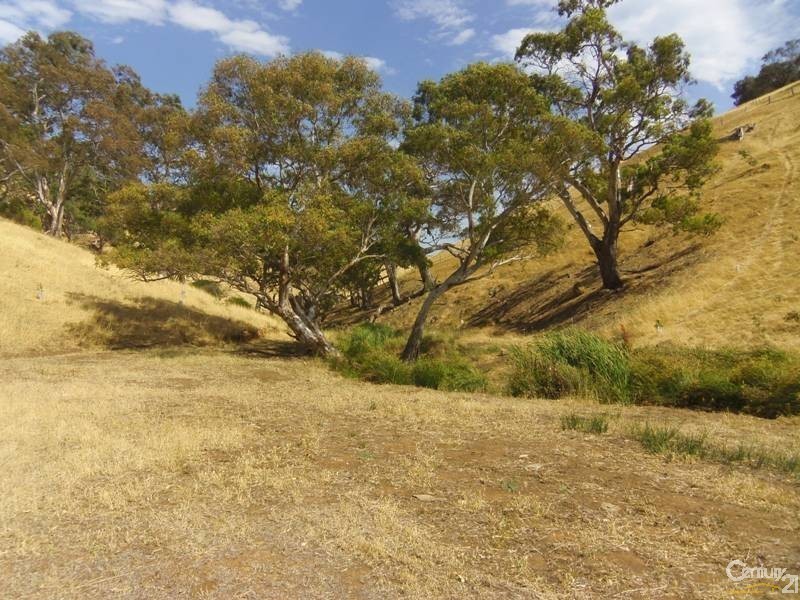 Lot 8 Myponga Beach Road, Myponga Beach SA 5202