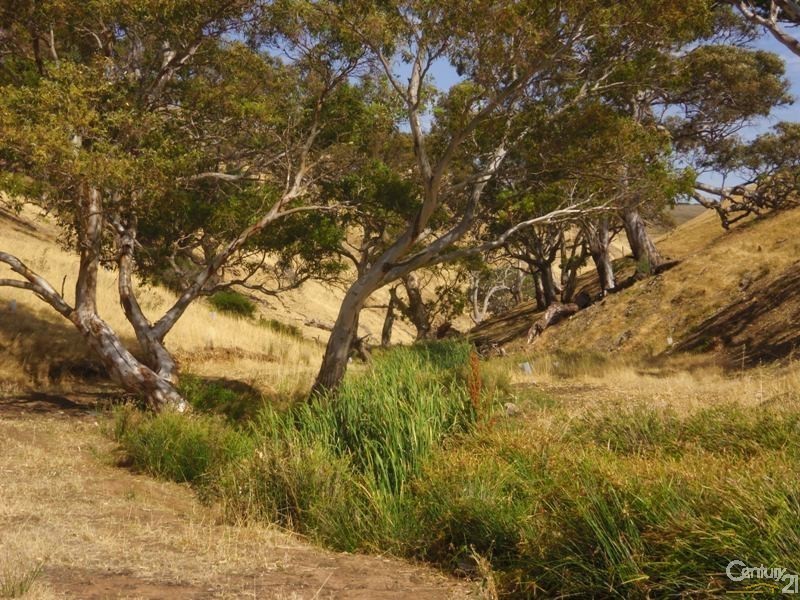 Lot 8 Myponga Beach Road, Myponga Beach SA 5202