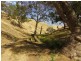 Lot 8 Myponga Beach Road, Myponga Beach SA 5202