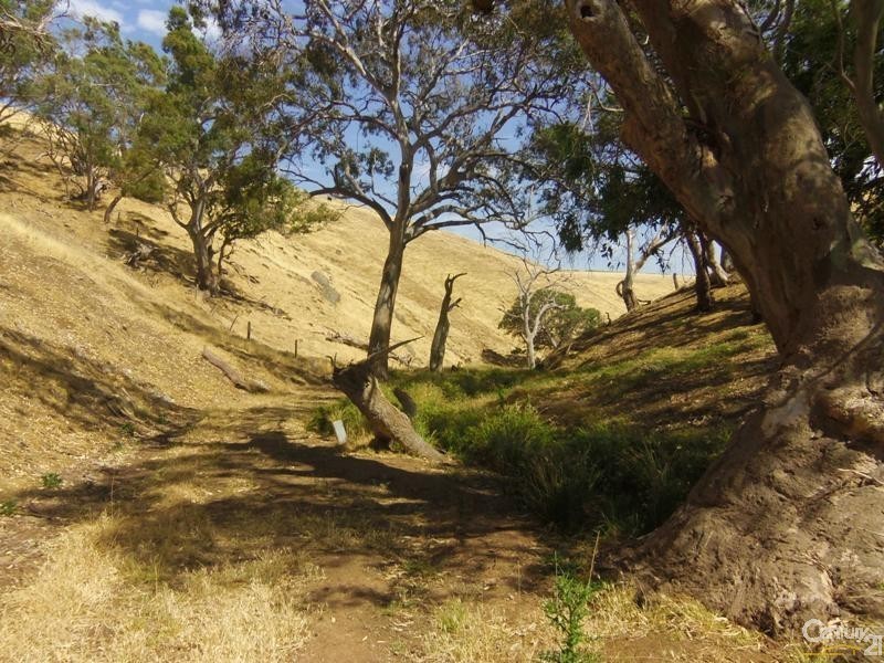 Lot 8 Myponga Beach Road, Myponga Beach SA 5202