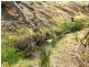 Lot 8 Myponga Beach Road, Myponga Beach SA 5202