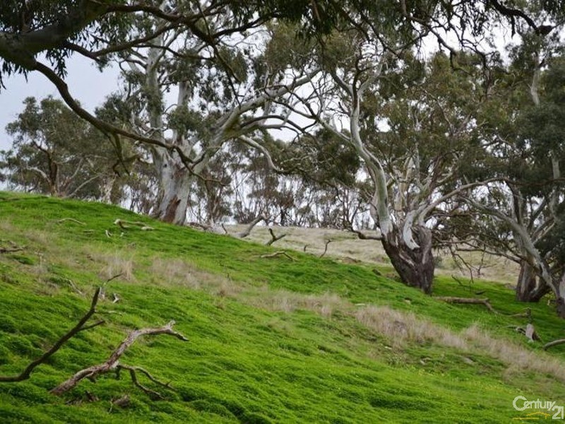 Lot 8 Myponga Beach Road, Myponga Beach SA 5202