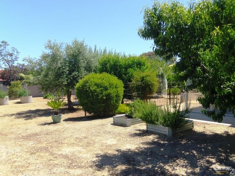 17 Katherine Drive, Normanville SA 5204