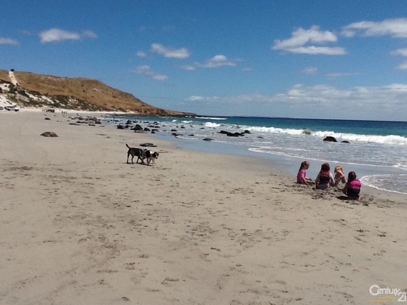 13 Fleurieu Avenue, Cape Jervis SA 5204