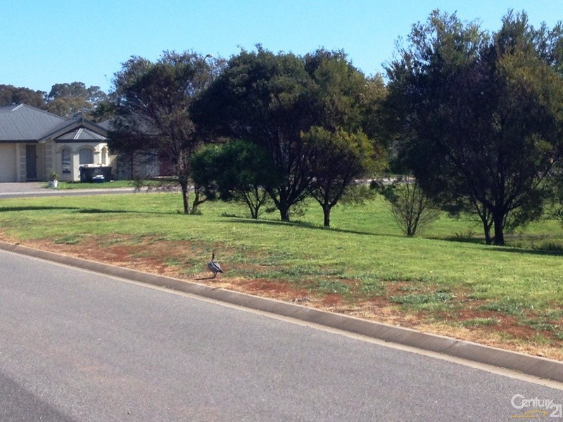 11 Johnston Court, Normanville SA 5204