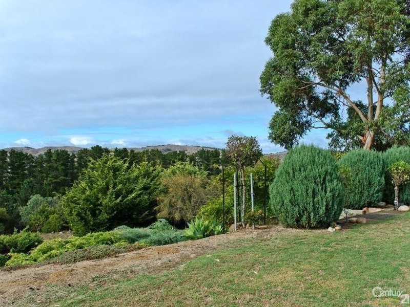 125 Boards Road, Wattle Flat SA 5203