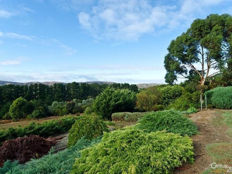 125 Boards Road, Wattle Flat SA 5203