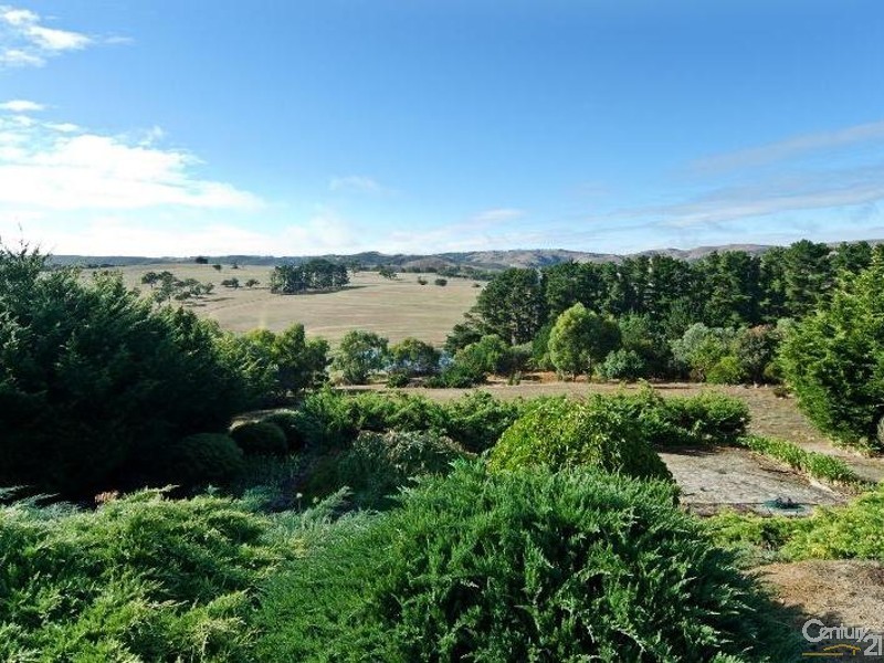 125 Boards Road, Wattle Flat SA 5203