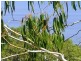 1A Panorama Crescent, Normanville SA 5204