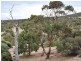 406 Talisker Road, Cape Jervis SA 5204
