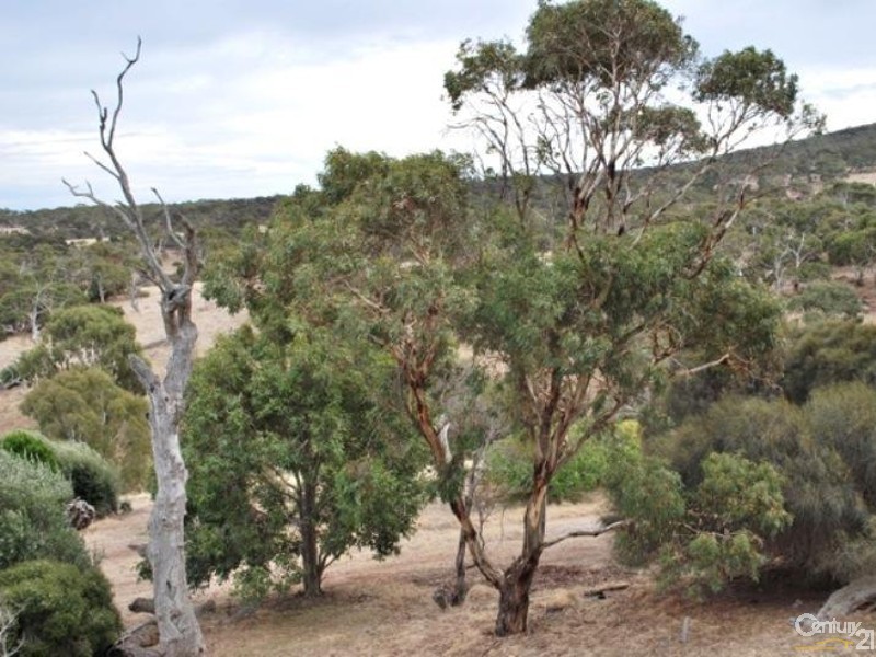 406 Talisker Road, Cape Jervis SA 5204