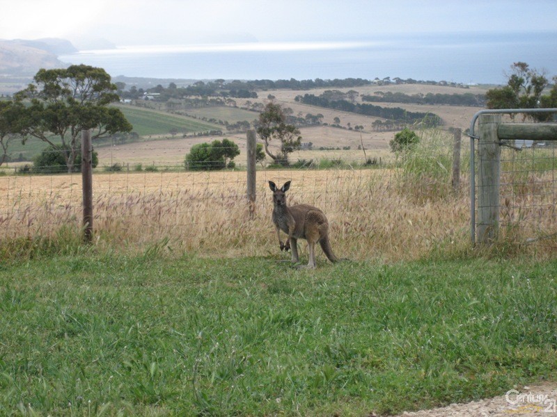 310 Smith Hill Road, Carrickalinga SA 5204