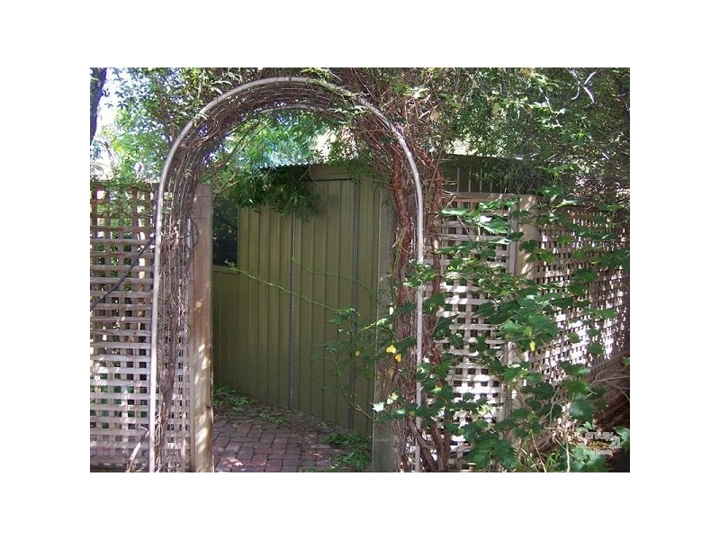 4/20 DALY STREET, Kurralta Park SA 5037