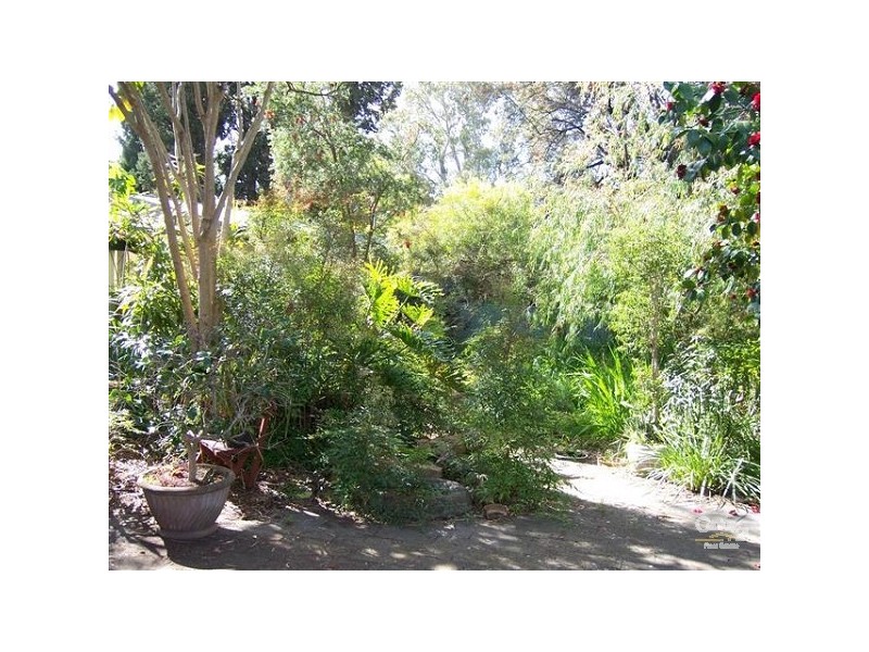 7 RUSSELL AVENUE, Hazelwood Park SA 5066