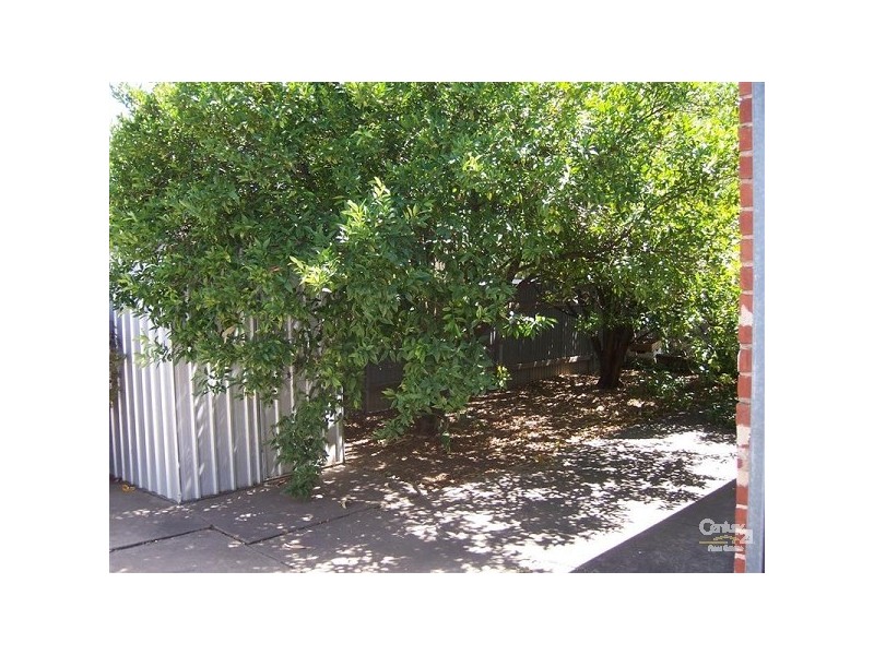 25 FRANCIS STREET, Cowandilla SA 5033