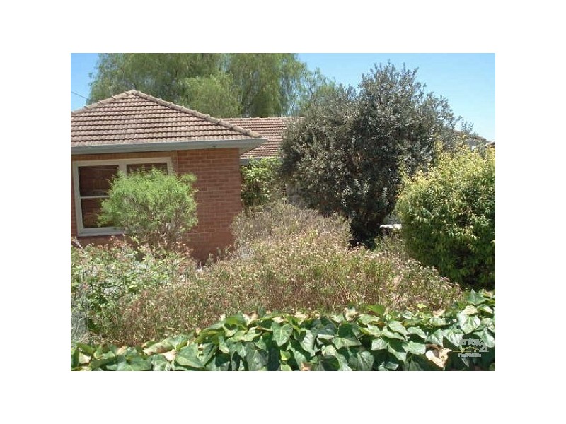 31 Jackson Street, Enfield SA 5085