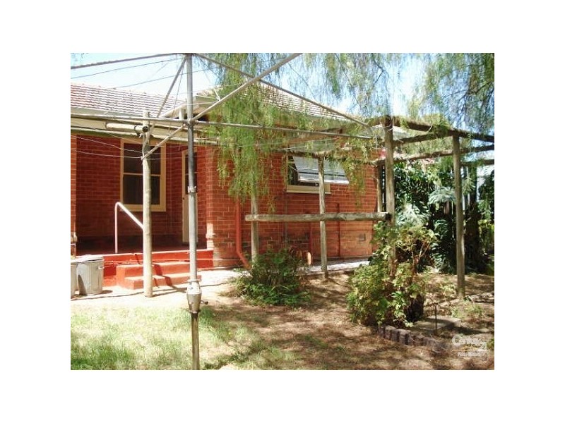 31 Jackson Street, Enfield SA 5085