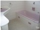 24 SHELLEY AVENUE, Fulham Gardens SA 5024