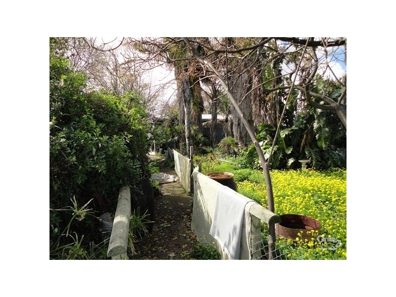 31 Hawson Avenue, North Plympton SA 5037