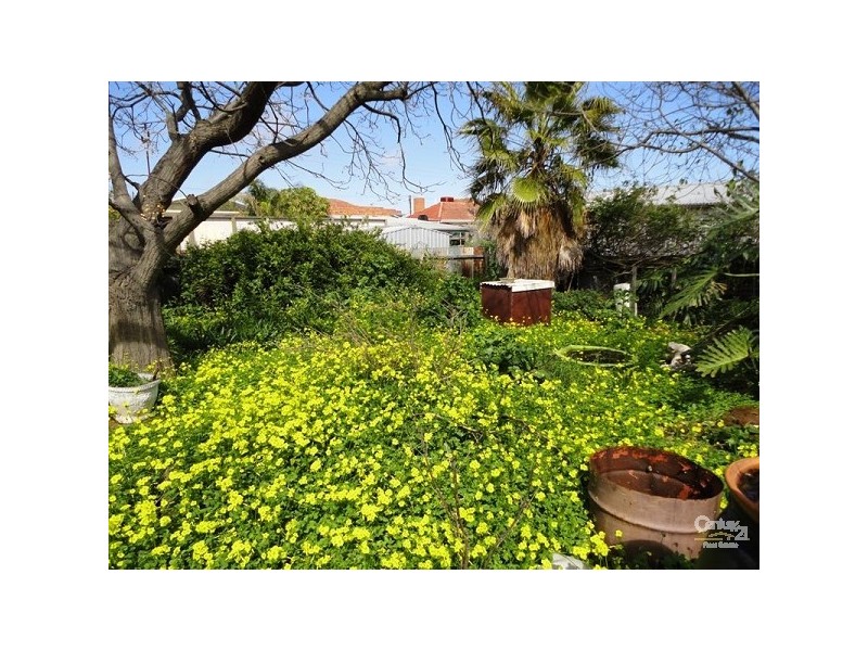 31 Hawson Avenue, North Plympton SA 5037