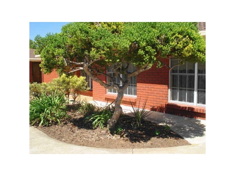 3/5 MARLESTON AVENUE, Ashford SA 5035