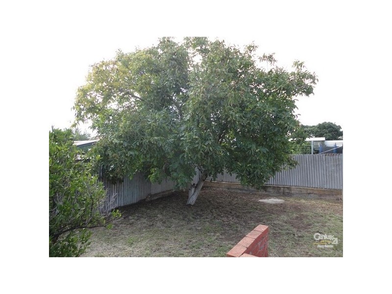 14 Pam Street, Netley SA 5037