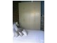 14/3 WITTER PLACE, Brooklyn Park SA 5032
