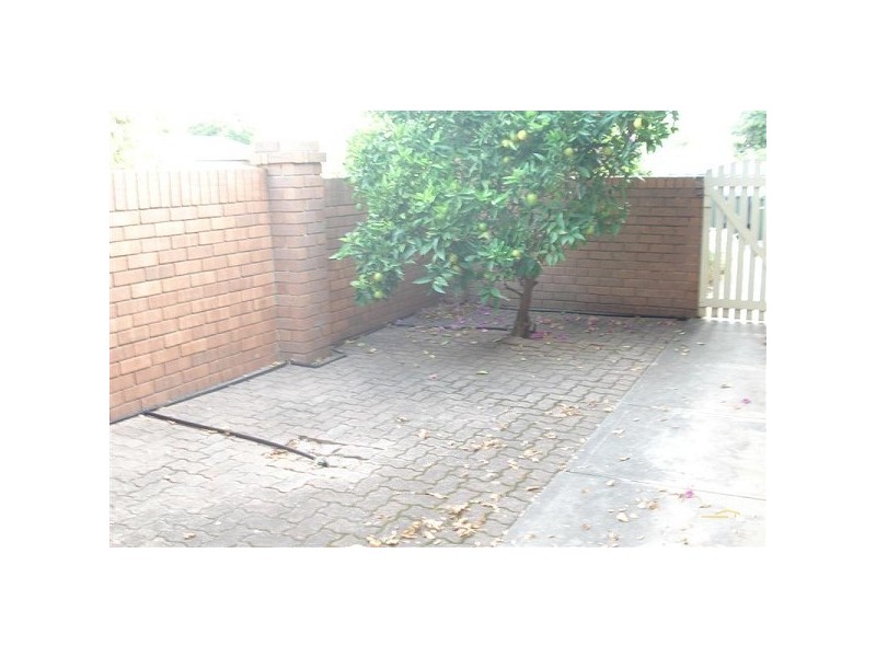 1/268 WARD STREET, North Adelaide SA 5006