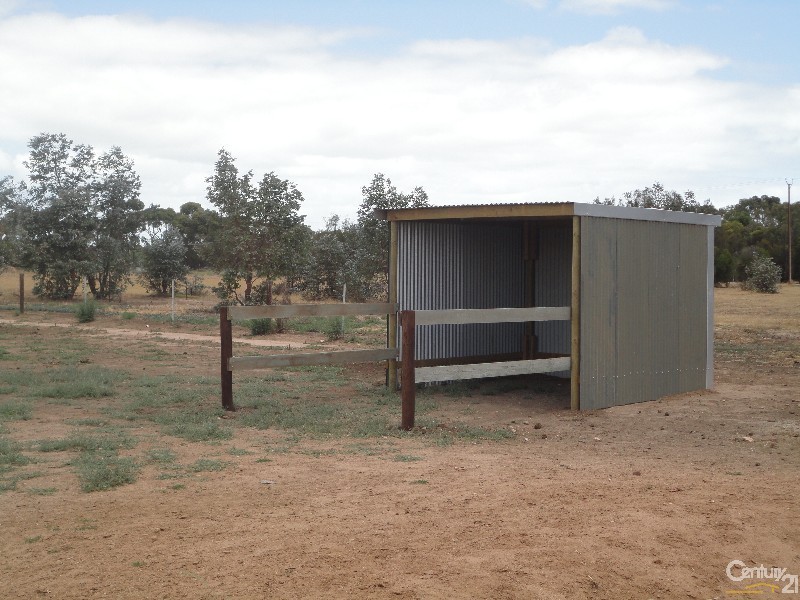 38 Dawkins Road, Two Wells SA 5501