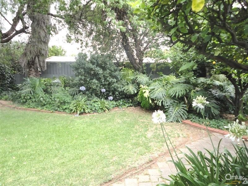 42 Ebor Avenue, Mile End SA 5031