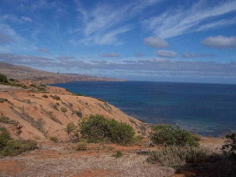 57 Wellington Avenue, Sellicks Beach SA 5174