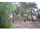 14A McDonald Avenue, Aldinga Beach SA 5173
