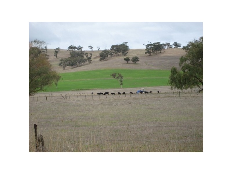 Lot 3 Rowley Road, Myponga SA 5202