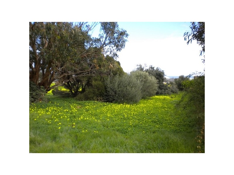 Lot 315 Plaza Avenue, Sellicks Beach SA 5174