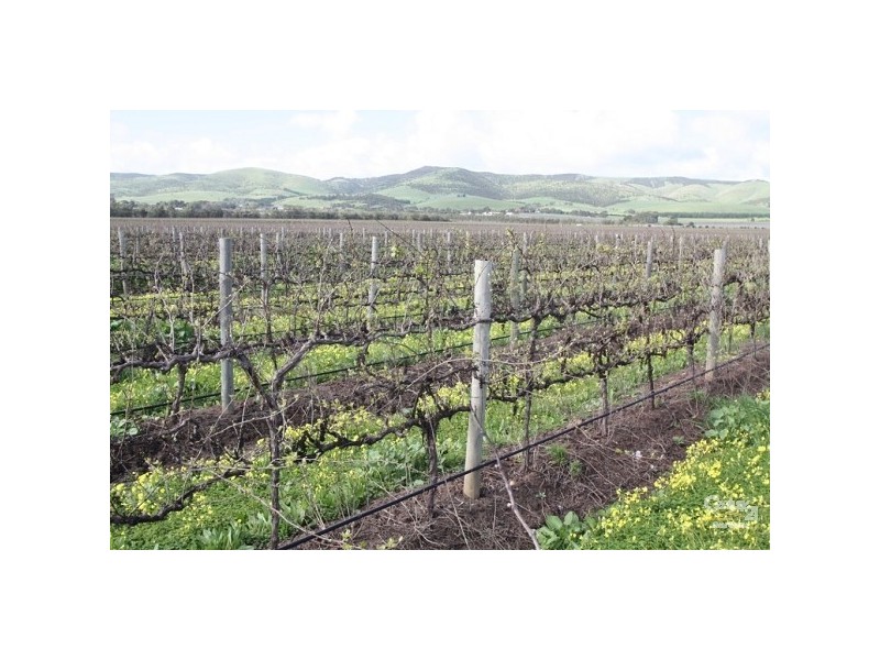 Lot 352 Main South Road, Sellicks Hill SA 5174