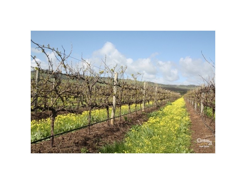 Lot 352 Main South Road, Sellicks Hill SA 5174