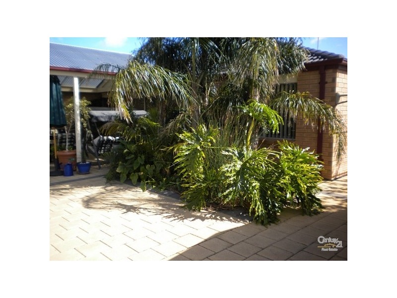 18 Hartland Avenue, Christie Downs SA 5164