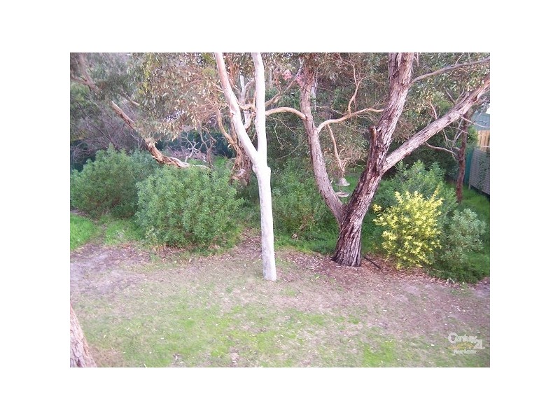 10 Quondong Avenue, Aldinga Beach SA 5173