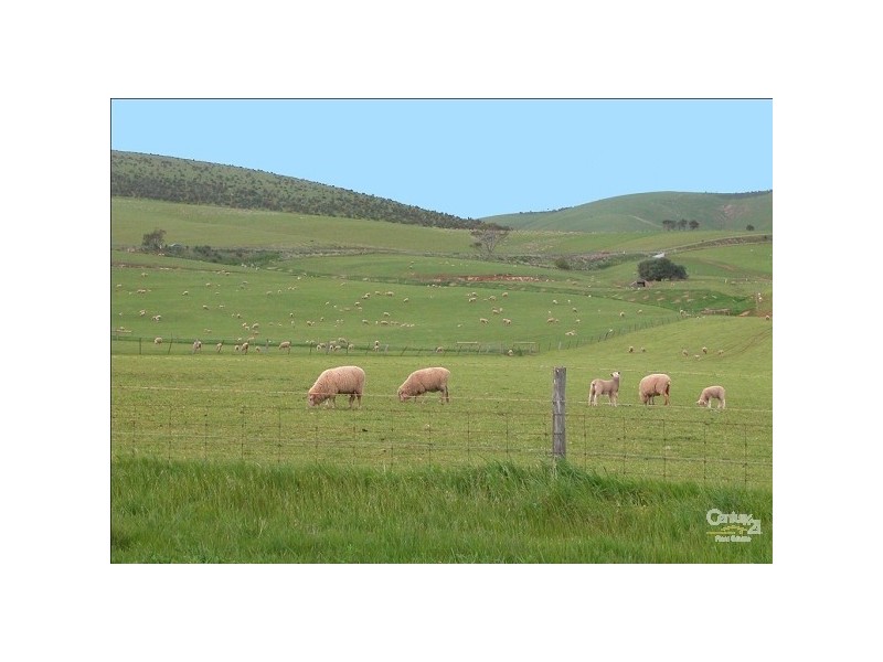 20 Aberdeen Street, Sellicks Beach SA 5174