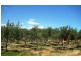 Flat 1 Lot 4 Norman Road, Aldinga Beach SA 5173