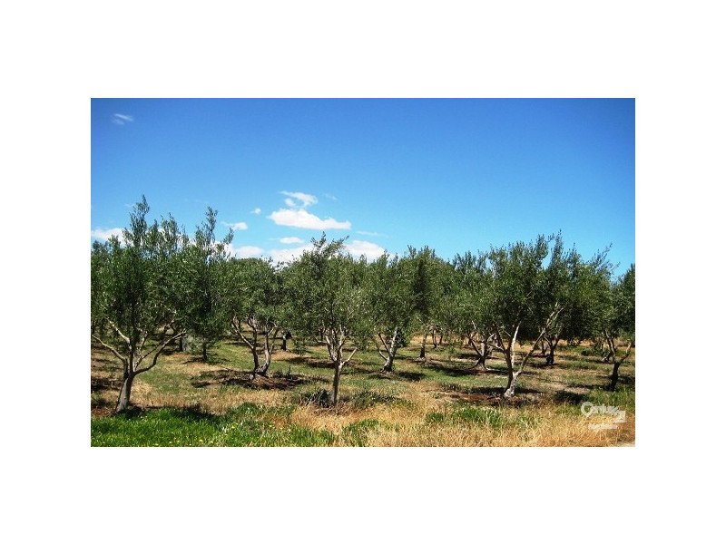 Flat 1 Lot 4 Norman Road, Aldinga Beach SA 5173