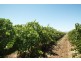 Lot 792 Main South Road, Aldinga SA 5173