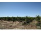 Lot 792 Main South Road, Aldinga SA 5173
