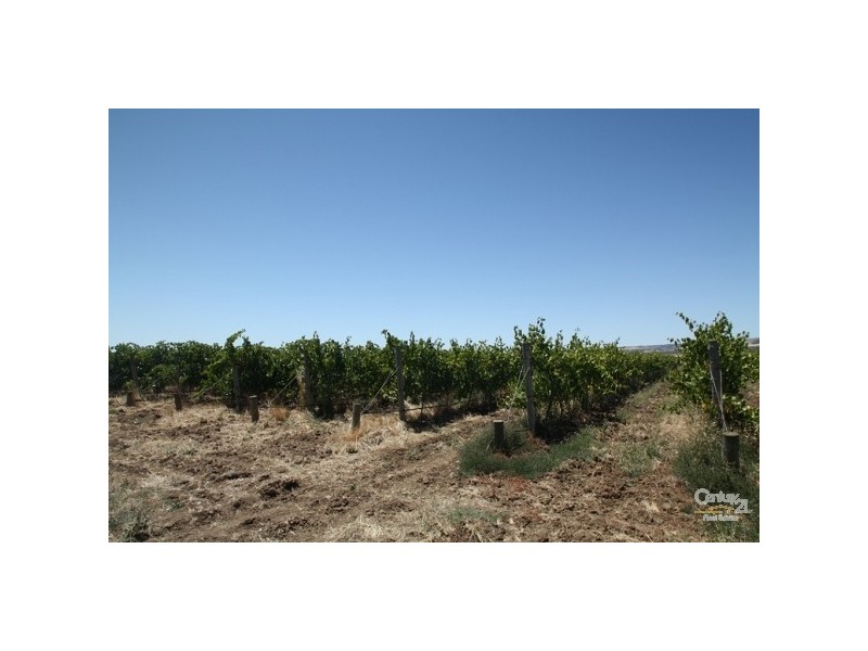 Lot 792 Main South Road, Aldinga SA 5173