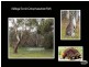 Lot 792 Main South Road, Aldinga SA 5173