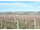 Lot 792 Main South Road, Aldinga SA 5173